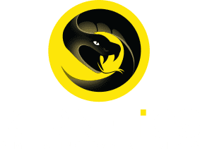 קרנליוס, kernelios, קורס סייבר, סילבוס, המלצות מצולמות